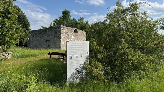 Atrakcja Żarek. Ale zakrzaczona!
