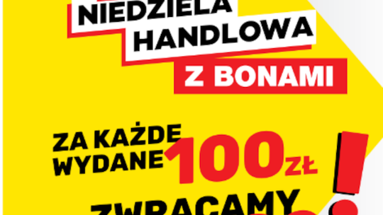 Brico Myszków: Z KAŻDEJ STÓWKI WRACA 20! Sprawdź kiedy