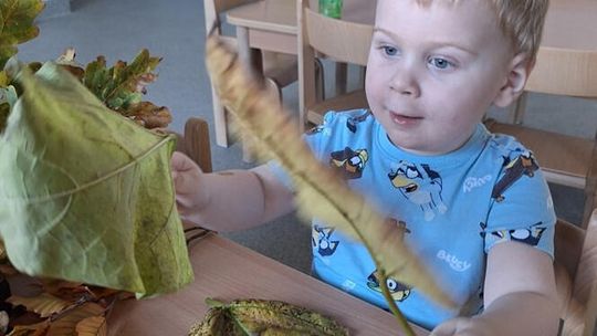 Dzień Drzewa w żłobku gminnym w Masłońskim