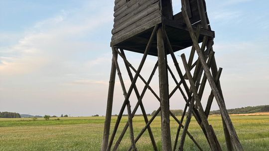 Kto postrzelił kobietę w Przybyszowie? Śledztwo w martwym punkcie. Prokuratura nie sprawdza plotki o strzelającym proboszczu!