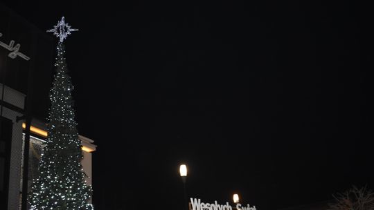 MYSZKÓW. CHOINKA PRZED MIEJSKIM DOMEM KULTURY JUŻ SIĘ ŚWIECI ZDJĘCIA