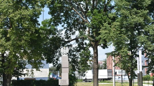 MYSZKÓW. NOWY POMNIK POLEGŁYM ZA ZIEMIĘ MYSZKOWSKĄ JUŻ STOI NA SKWERZE NAPRZECIWKO URZĘDU MIASTA. PORÓWNAJCIE GO ZE STARYM. ZDJĘCIA