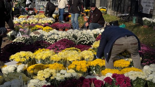 NA WSZYSTKICH ŚWIĘTYCH PRAWO NIE DZIAŁA