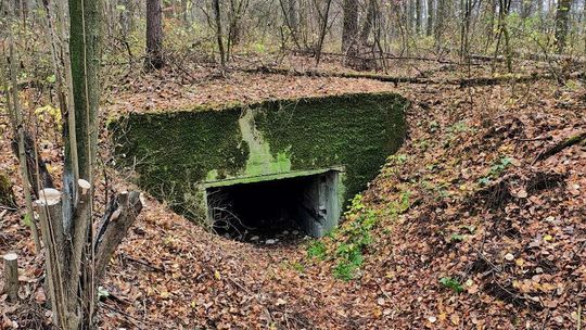 Nowe życie historycznych bunkrów