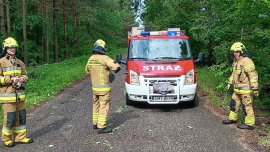 OSP Jaworznik i OSP Przybynów z dofinansowaniem. Pieniądze na defibrylatory AED i bezpieczeństwo mieszkańców