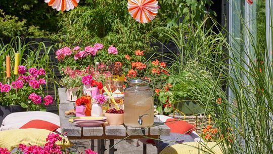 Pelargonie w kreatywnych ogrodach inspirowanych naturą
