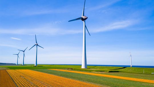 Technik OZE – na czym polega praca w branży odnawialnych źródeł energii?