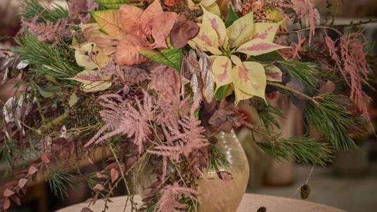 Wykorzystanie poinsecji jako kwiatów ciętych