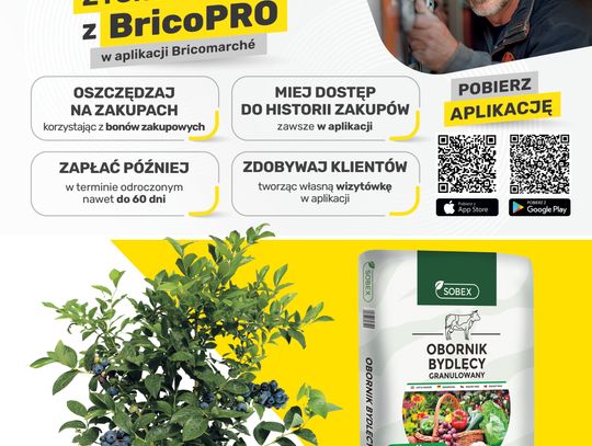 Brico Marche Myszków. Promocje od 8 kwietnia. Dla firmy i dla domu
