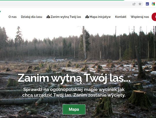 Jak wycinka lasów w Ostrężniku może wpłynąć na otoczenie?