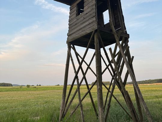 Kto postrzelił kobietę w Przybyszowie? Śledztwo w martwym punkcie. Prokuratura nie sprawdza plotki o strzelającym proboszczu!