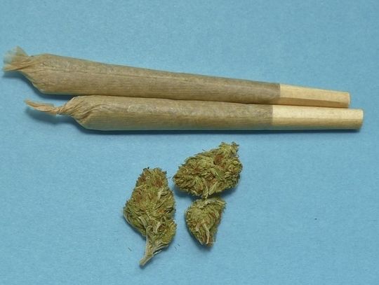 MARIHUANA W RĘKAWIE