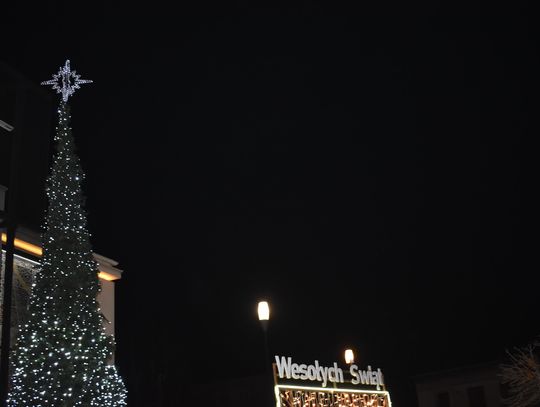 MYSZKÓW. CHOINKA PRZED MIEJSKIM DOMEM KULTURY JUŻ SIĘ ŚWIECI ZDJĘCIA