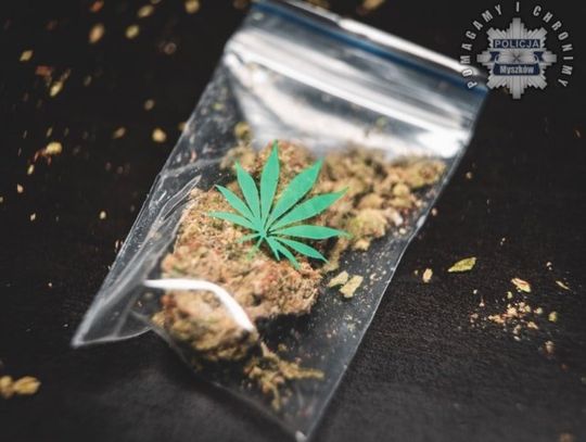 MYSZKÓW. DWÓCH MĘŻCZYZN ZATRZYMANYCH Z NARKOTYKAMI W DWA DNI