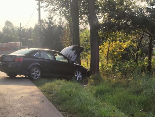 MYSZKÓW. PIJANY KIEROWCA WJECHAŁ W DRZEWO I RAZEM Z PASAŻEREM  UCIEKŁ Z MIEJSCA ZDARZENIA