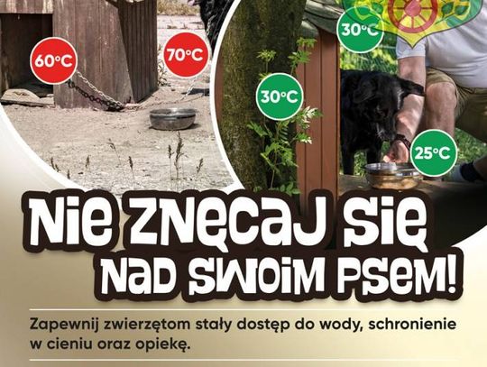 Nie znęcaj się nad swoim psem!