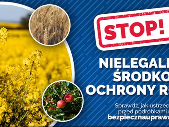 Nielegalne środki ochrony roślin. Spalone pola
