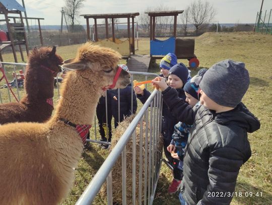 NIEZWYKŁE SPOTKANIE PRZEDSZKOLAKÓW W CYNKOWIE