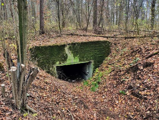 Nowe życie historycznych bunkrów