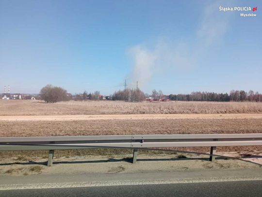 OGIEŃ PRZECHYTRZYŁ 91-LETNIEGO PODPALACZA