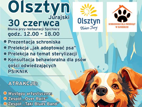 Olsztyn: I Jurajska wystawa psów do adopcji