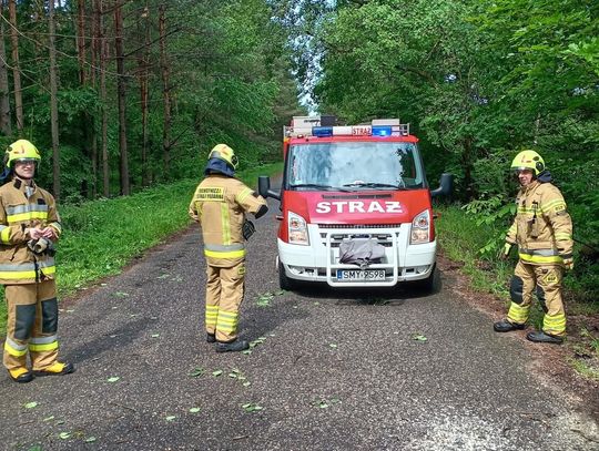 OSP Jaworznik i OSP Przybynów z dofinansowaniem. Pieniądze na defibrylatory AED i bezpieczeństwo mieszkańców