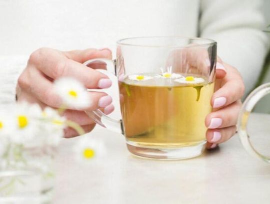 PESTYCYDY W LEKU! FUNDACJA PRO-TEST PRZEBADAŁA HERBATKI RUMIANKOWE PESTYCYDY W LEKU! FUNDACJA PRO-TEST PRZEBADAŁA HERBATKI RUMIANKOWE