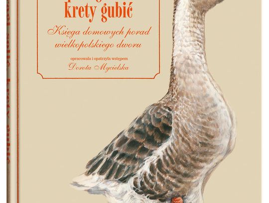 Szparagi solić, krety gubić Księga domowych porad wielkopolskiego dworu