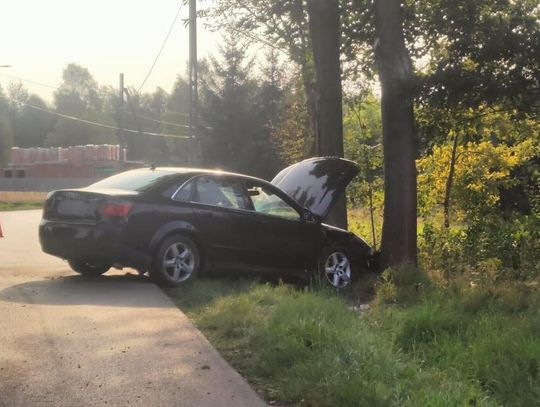 Uderzył w drzewo i uciekł z miejsca zdarzenia