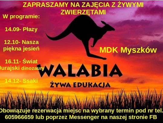 Zajęcia z żywymi zwierzętami w MDK Myszków