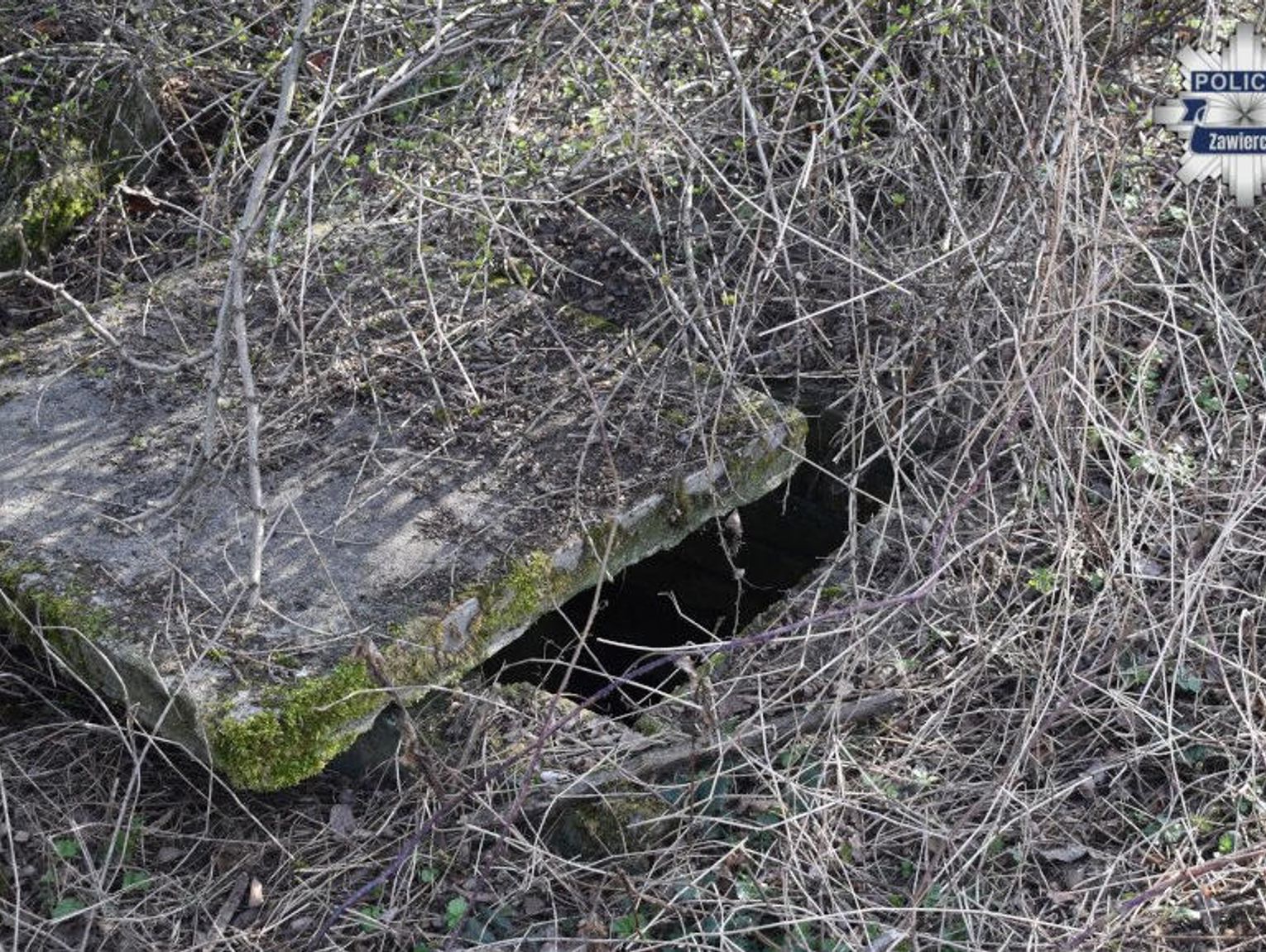 10-latek wpadł do studzienki