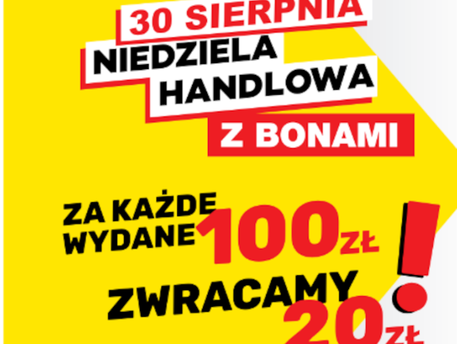 Brico Myszków: Z KAŻDEJ STÓWKI WRACA 20! Sprawdź kiedy