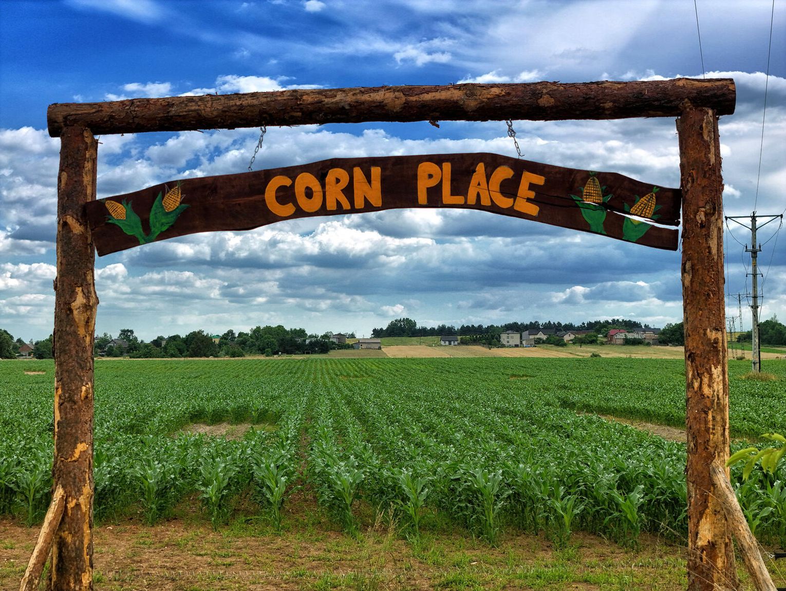 CORN PLACE. LABIRYNT Z KUKURYDZY. W SOBOTĘ OTWARCIE!