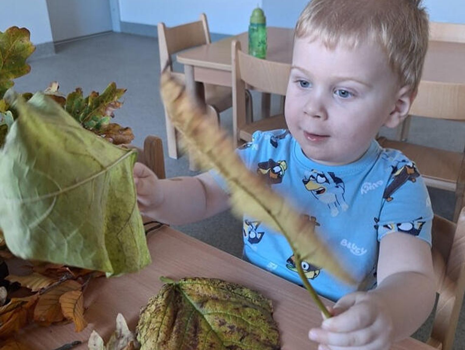 Dzień Drzewa w żłobku gminnym w Masłońskim