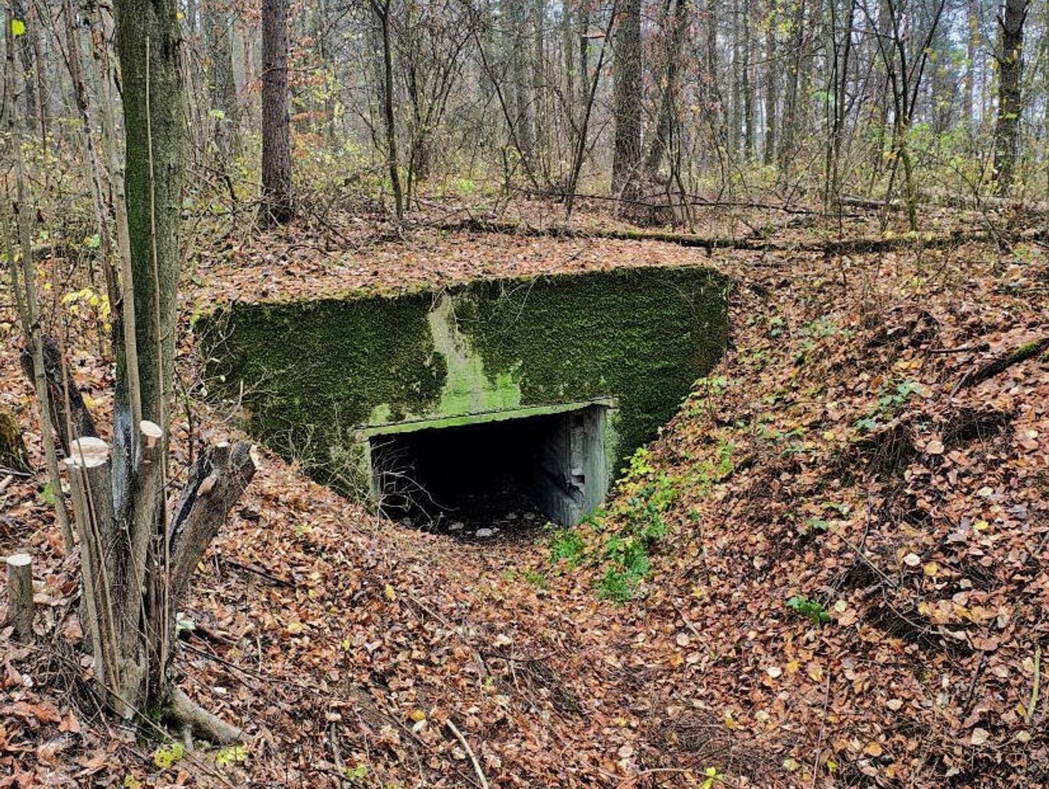 Nowe życie historycznych bunkrów