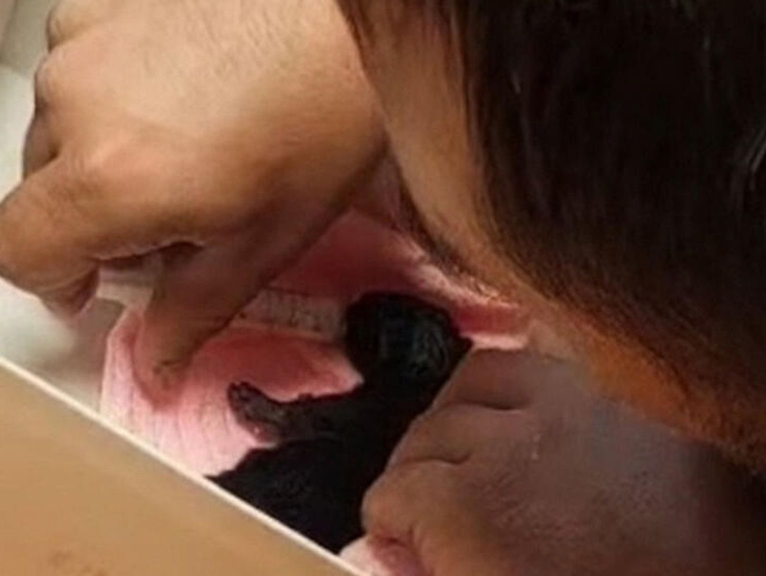 PARAGRAF MA JUŻ DOM