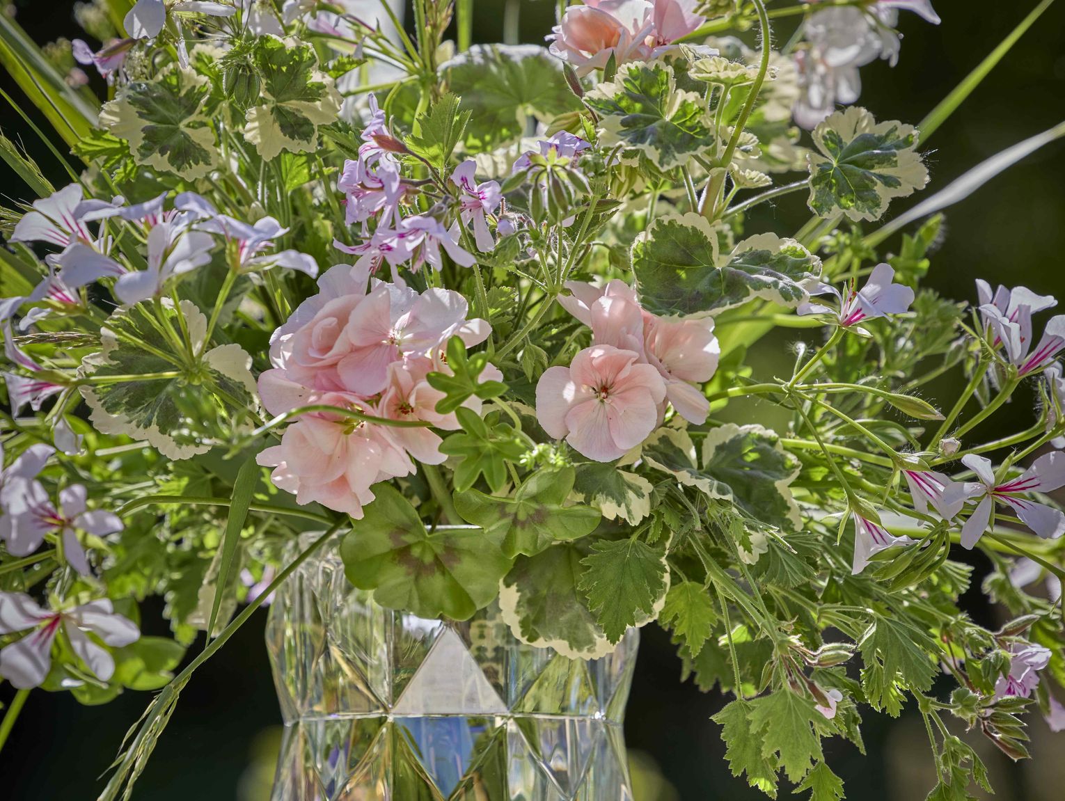 PRZEZ INTERNETOWĄ ZNAJOMOŚĆ STRACIŁA PIENIĄDZE