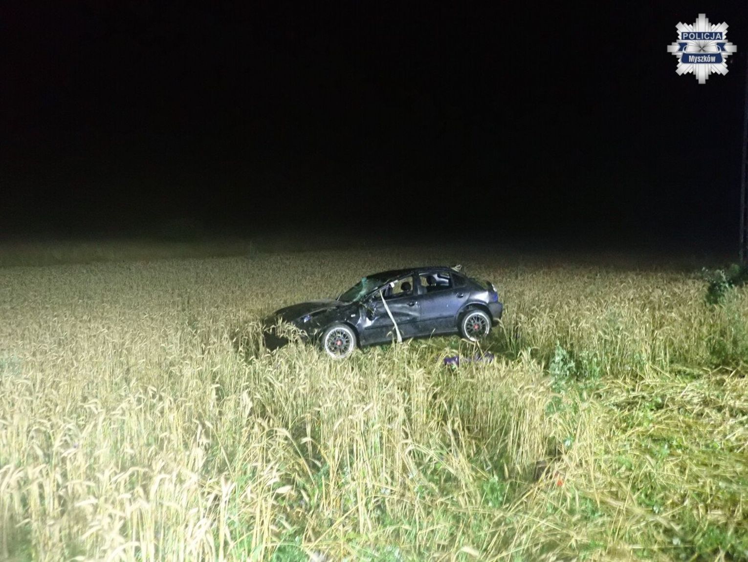 SAMOCHÓD OSOBOWY DACHOWAŁ W NIEGOWIE, 19 -LETNI KIEROWCA I 20-LETNIA PASAŻERKA TRAFILI DO SZPITALA. PASAŻERKA JEST CIĘŻKO RANNA. ZDJĘCIA