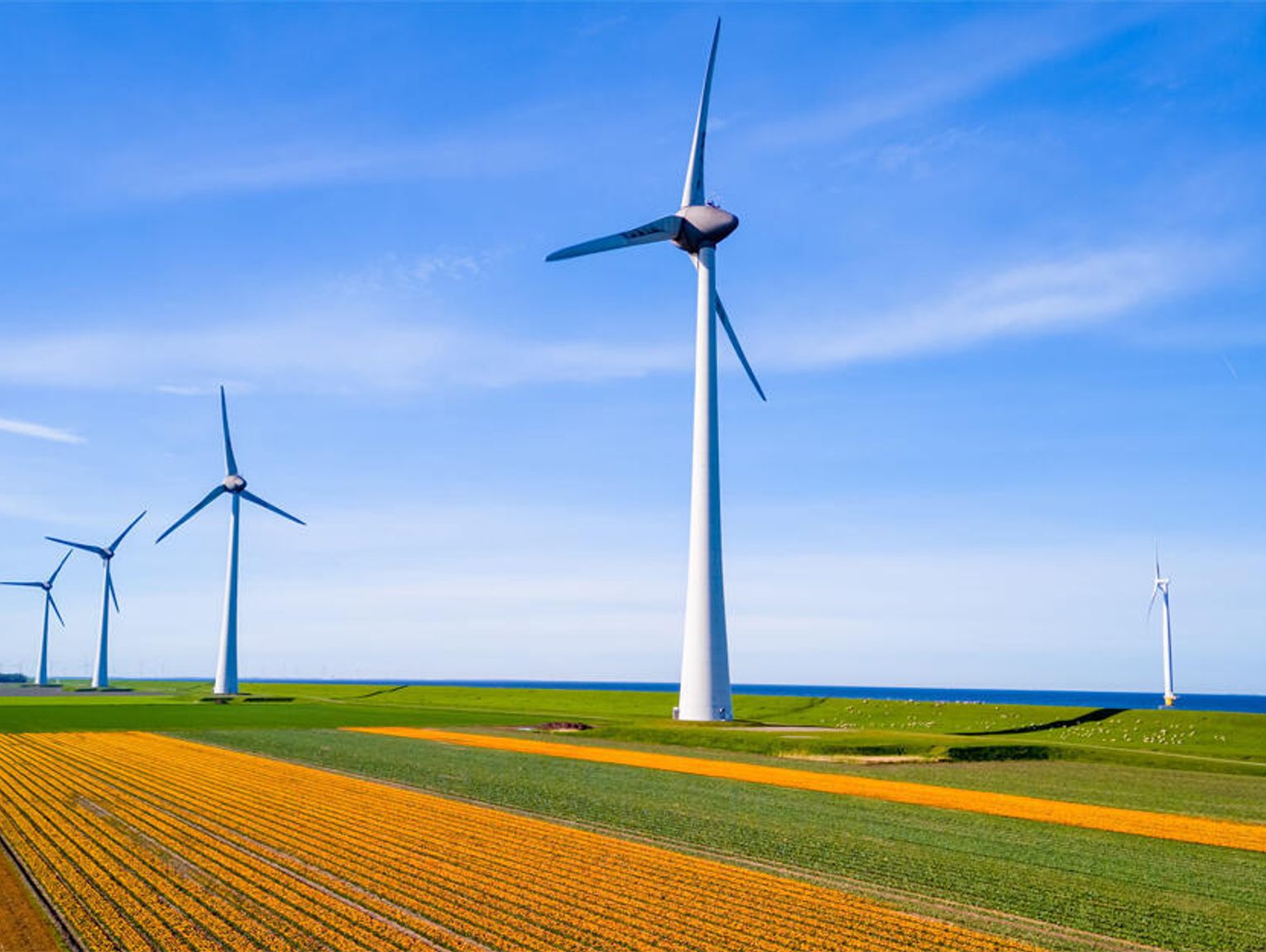 Technik OZE – na czym polega praca w branży odnawialnych źródeł energii?