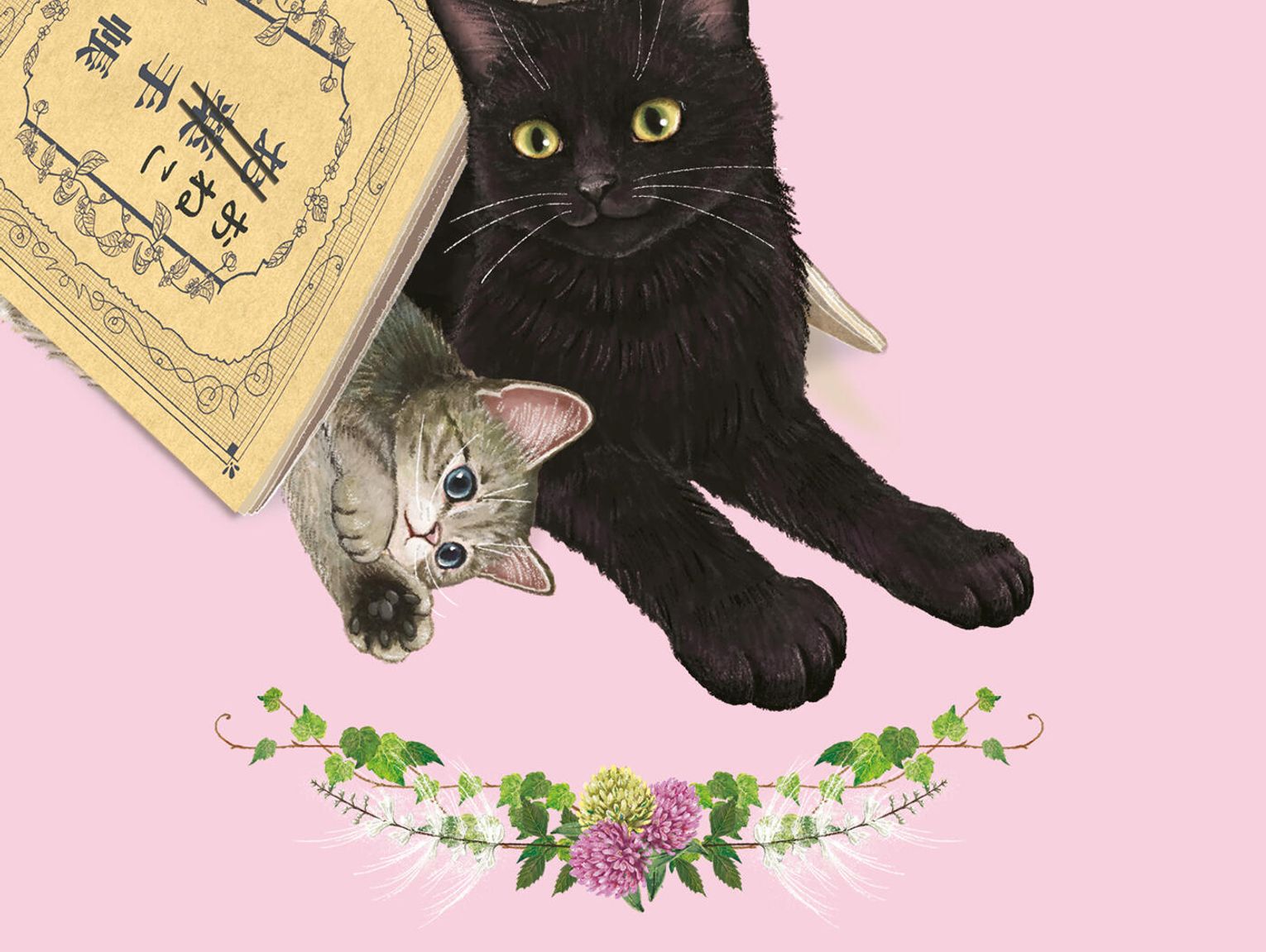 Zaleca się kolejnego kota Shō Ishida