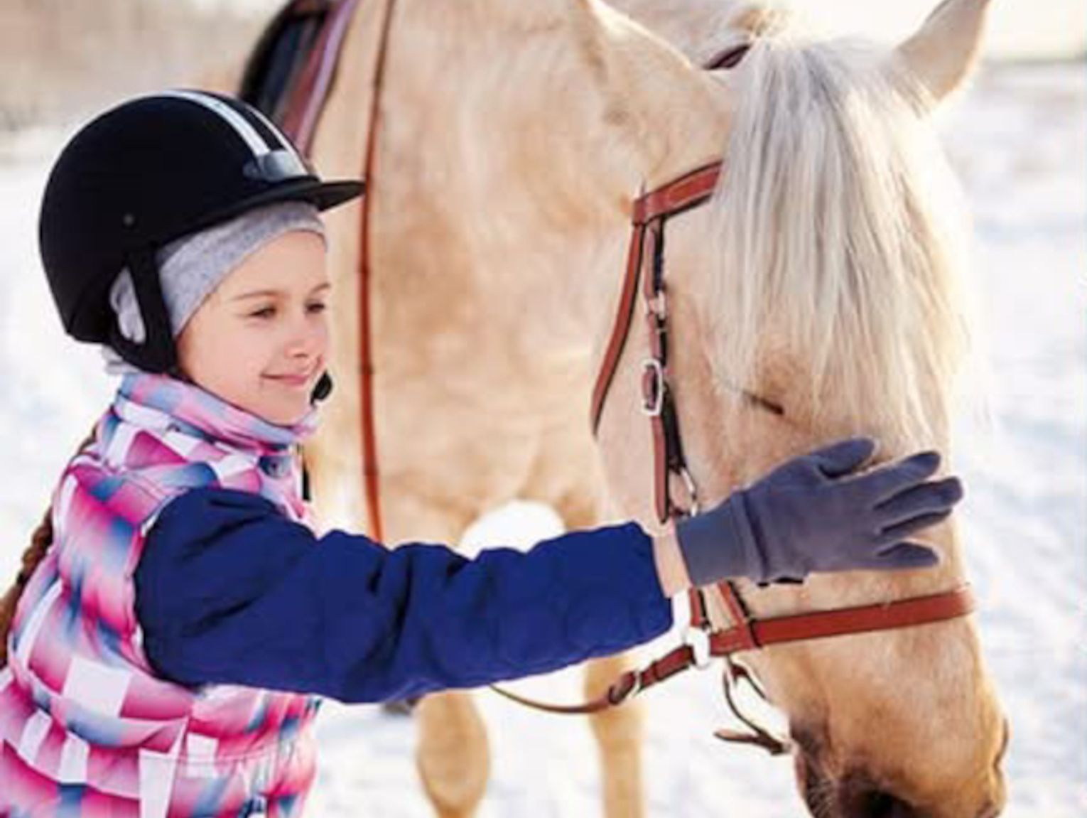 Zaplanuj kolonie, obóz już teraz! Stajnia Biały Borek zaprasza!