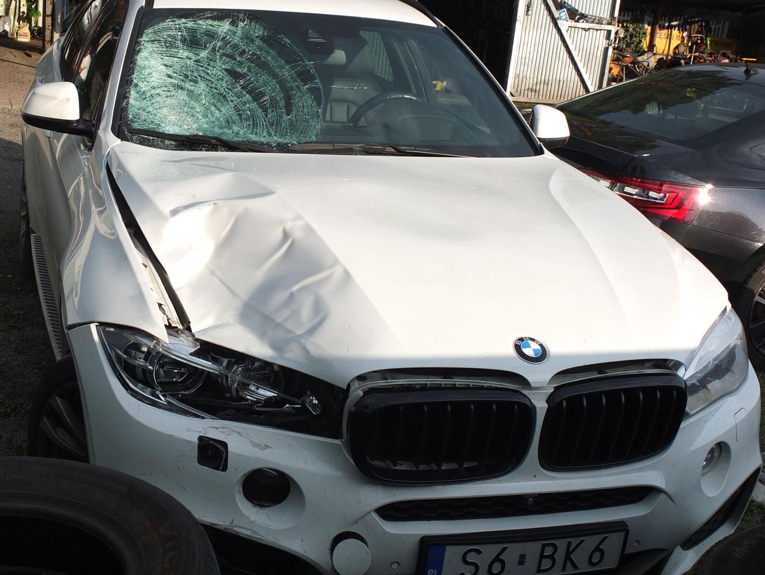 ZK Wojkowice: WIĘZIENIE CZY SANATORIUM?