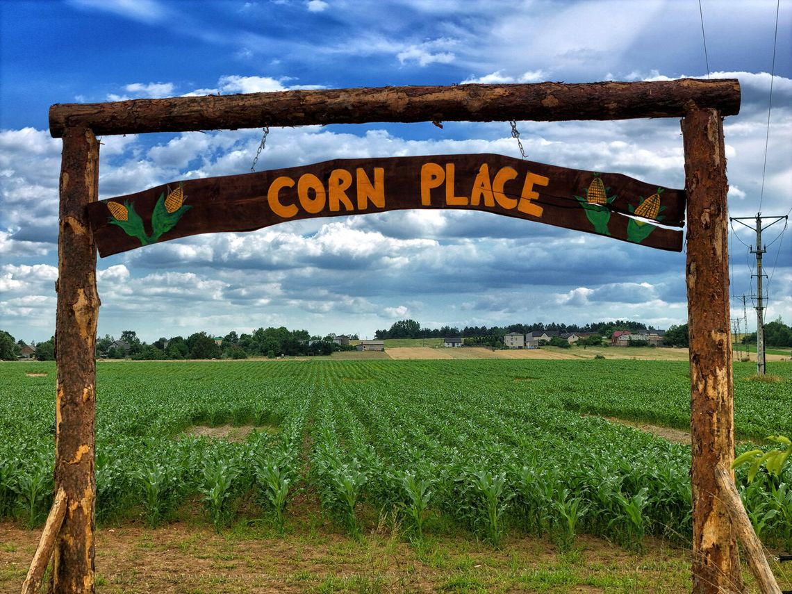 CORN PLACE. LABIRYNT Z KUKURYDZY. W SOBOTĘ OTWARCIE! CORN PLACE. LABIRYNT Z KUKURYDZY. W SOBOTĘ OTWARCIE!