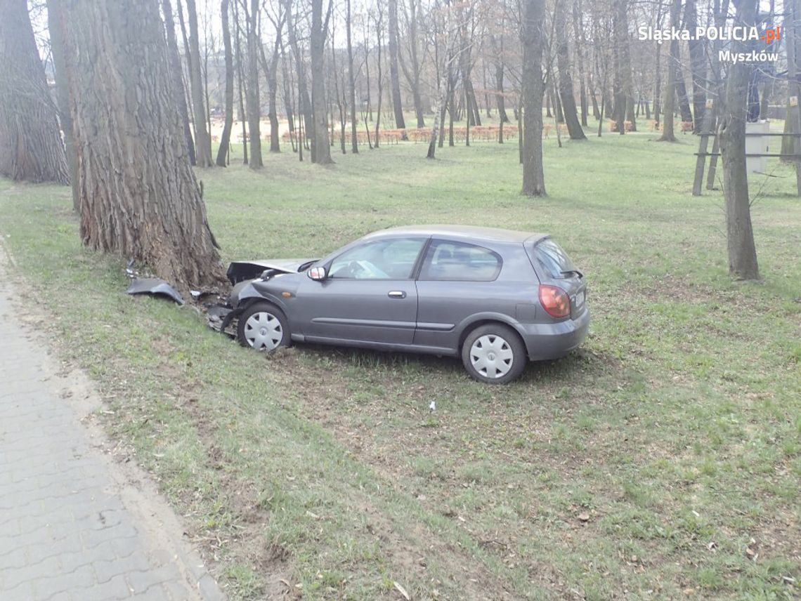 DRZEWO ZATRZYMAŁO PIJANEGO KIEROWCE