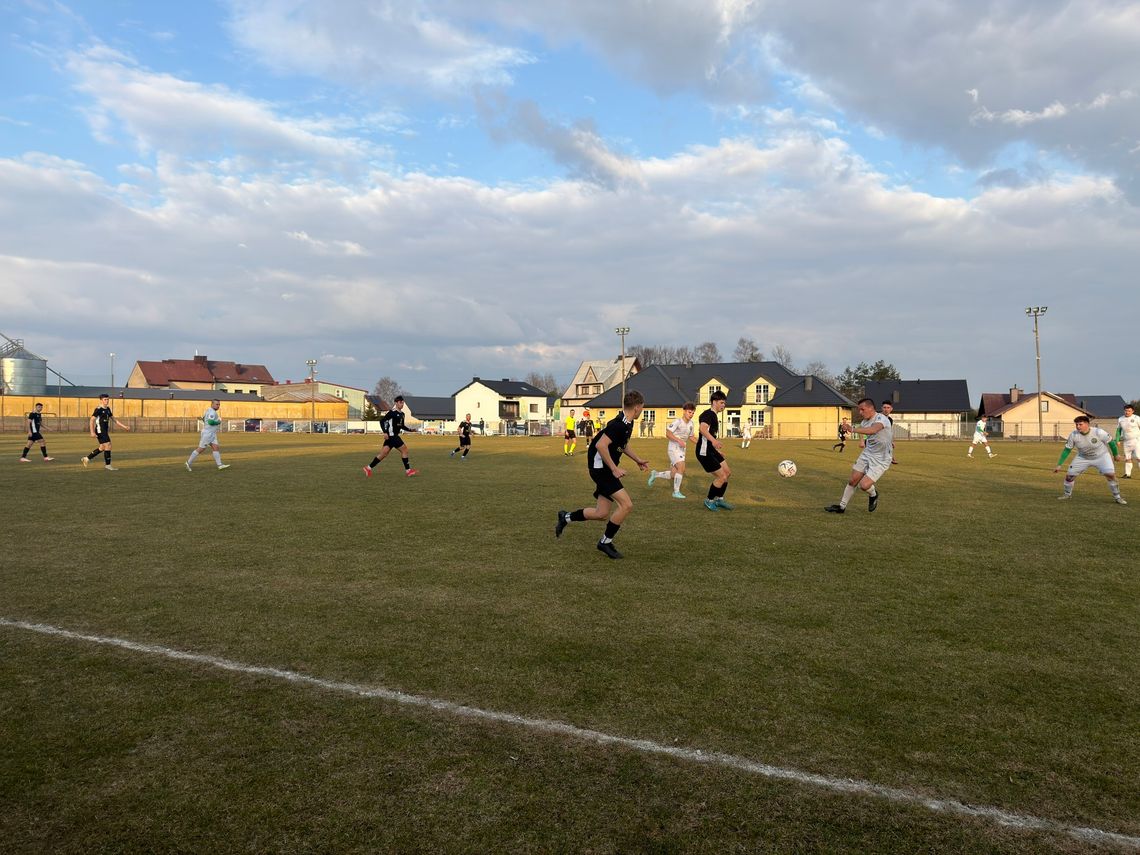 FORMA MYSZKOWA Z JESIENI POZOSTAŁA