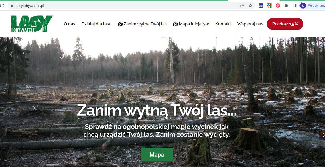 Jak wycinka lasów w Ostrężniku może wpłynąć na otoczenie?