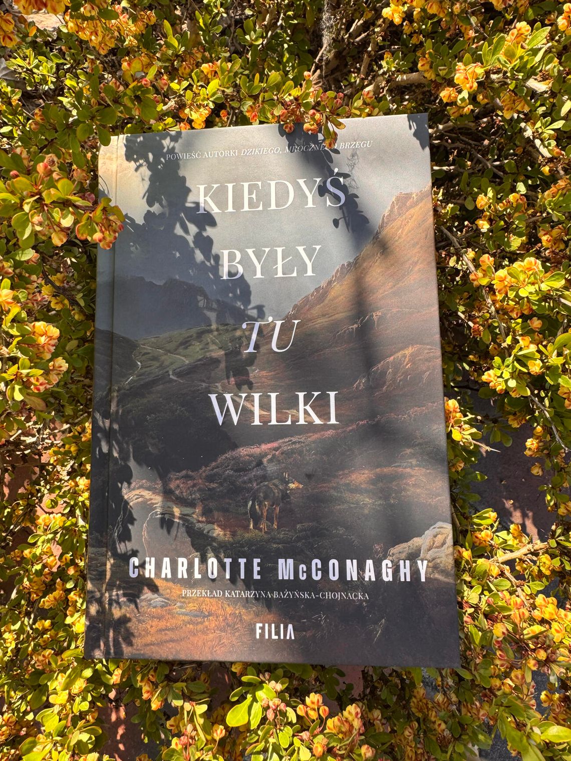 KIEDYŚ TU BYŁY WILKI CHARLOTTE MCCONAGHY- PREMIERA 6 MAJA 2026