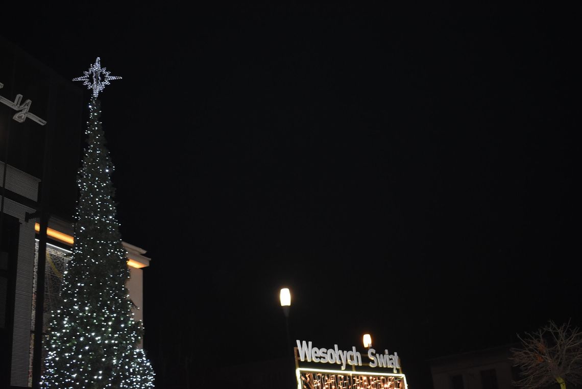 MYSZKÓW. CHOINKA PRZED MIEJSKIM DOMEM KULTURY JUŻ SIĘ ŚWIECI ZDJĘCIA