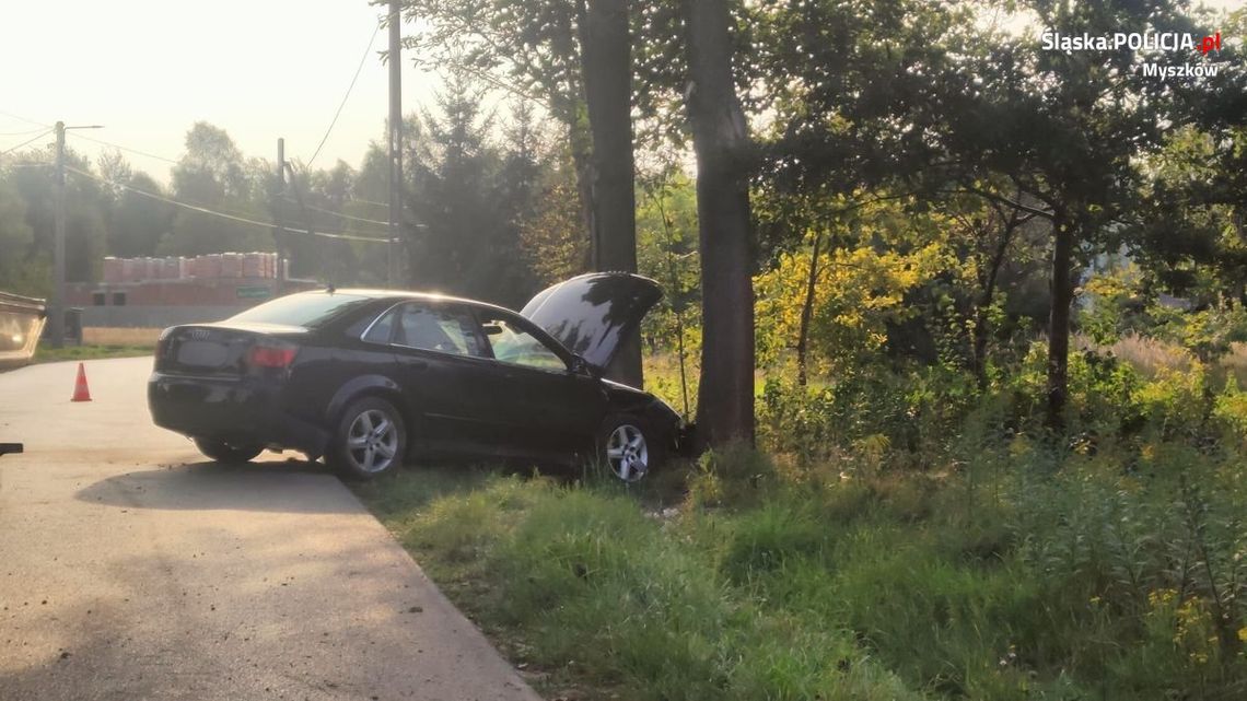 MYSZKÓW. PIJANY KIEROWCA WJECHAŁ W DRZEWO I RAZEM Z PASAŻEREM  UCIEKŁ Z MIEJSCA ZDARZENIA