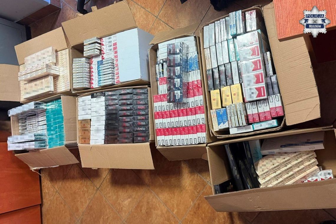 MYSZKÓW. POLICJANCI ZAREKWIROWALI NA TARGOWISKU W ŻARKACH PRAWIE 60 TYSIĘCY NIELEGALNYCH PAPIEROSÓW I TYTOŃ MYSZKÓW. POLICJANCI ZAREKWIROWALI NA TARGOWISKU W ŻARKACH PRAWIE 60 TYSIĘCY NIELEGALNYCH PAPIEROSÓW I TYTOŃ